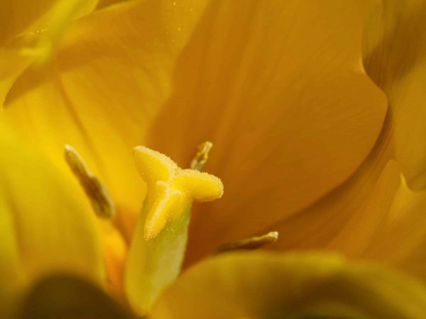 Les smartphones avec les meilleures fonctionnalités de réalité virtuelle